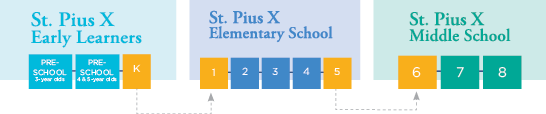Schools InfoGraphic